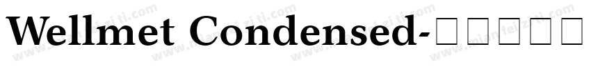 Wellmet Condensed字体转换
